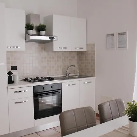 Rose E Tulipani 3 Negrar