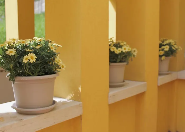 Rose E Tulipani 3 Negrar